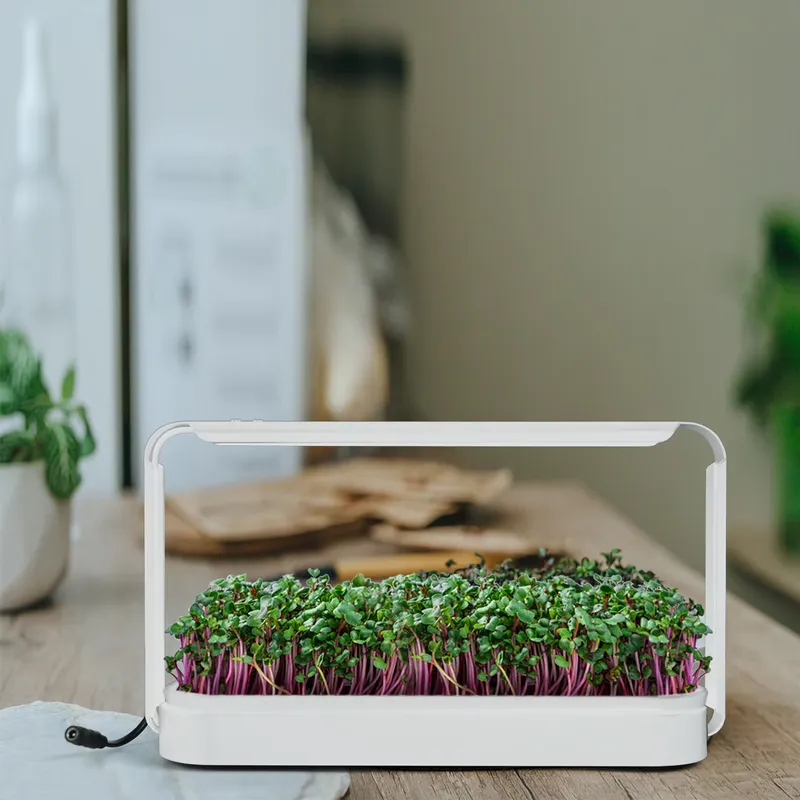 Smart Garden Ideas - Indoor Herb Garden Grow Light Greenhouse