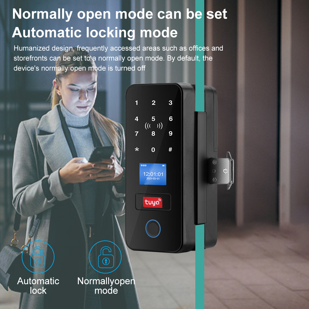 Double Hook Smart Glass Door L - đánh giá và giá Smart Garden Gate Lock