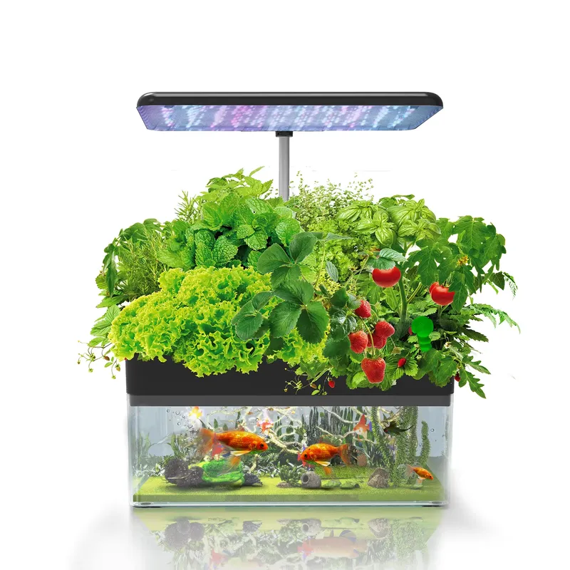 Brand IGS-70 Indoor Hydroponic - đánh giá và giá Smart Garden Indoor