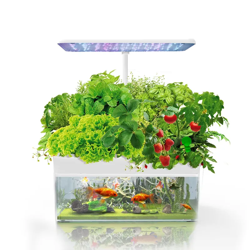Brand IGS-70 Indoor Hydroponic - đánh giá và giá Smart Garden Indoor