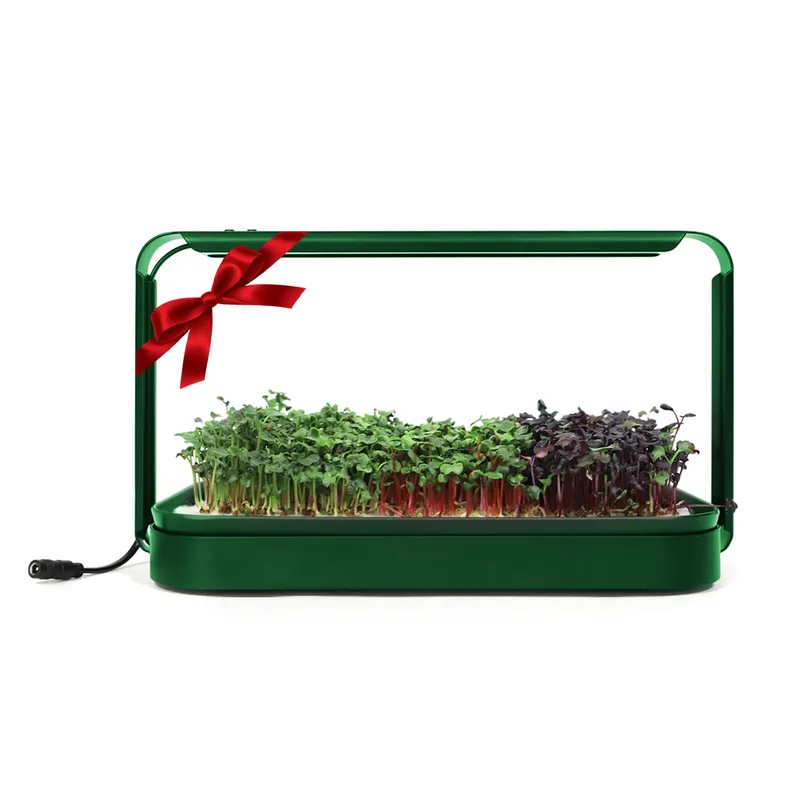 Christmas Gift Ideas Diy Home  - đánh giá và giá Smart Garden Ideas