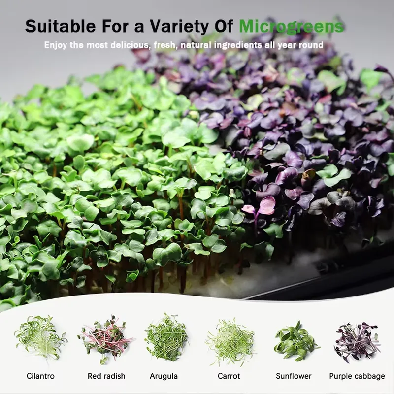 Christmas Gift Ideas Diy Home  - đánh giá và giá Smart Garden Ideas