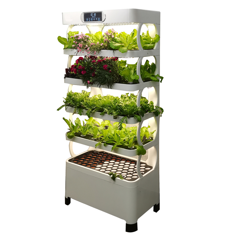 Indoor Smart Low Cost Hydropon - đánh giá và giá Smart Garden Indoor