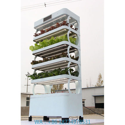 arming Home Hydroponic Growing - đánh giá và giá Smart Garden Indoor