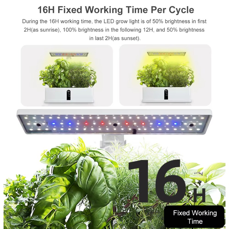 9 Pods Smart Hydroponics Growi - đánh giá và giá Smart Garden Indoor