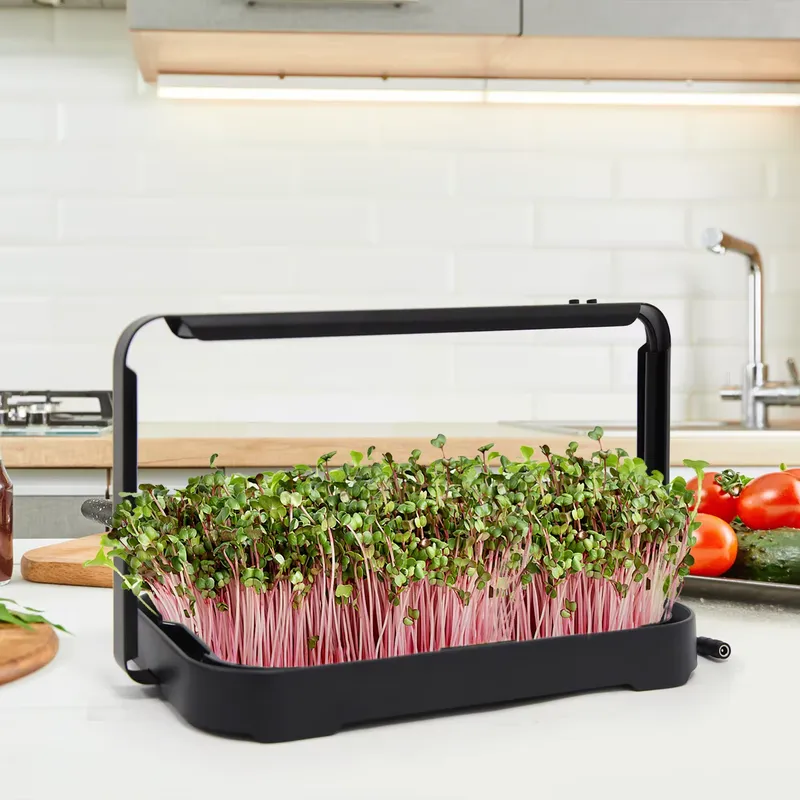 Hydroponic Tray Indoor Microgr - đánh giá và giá Smart Garden Indoor