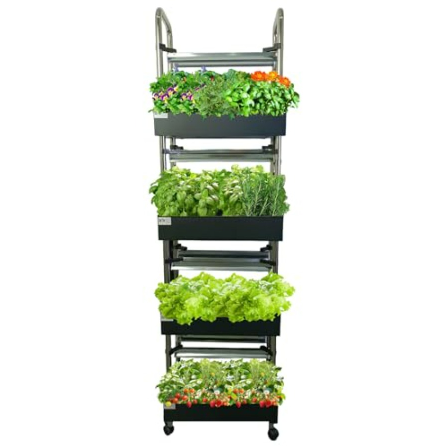 Indoor hydroponics growing sys - đánh giá và giá Smart Garden Indoor